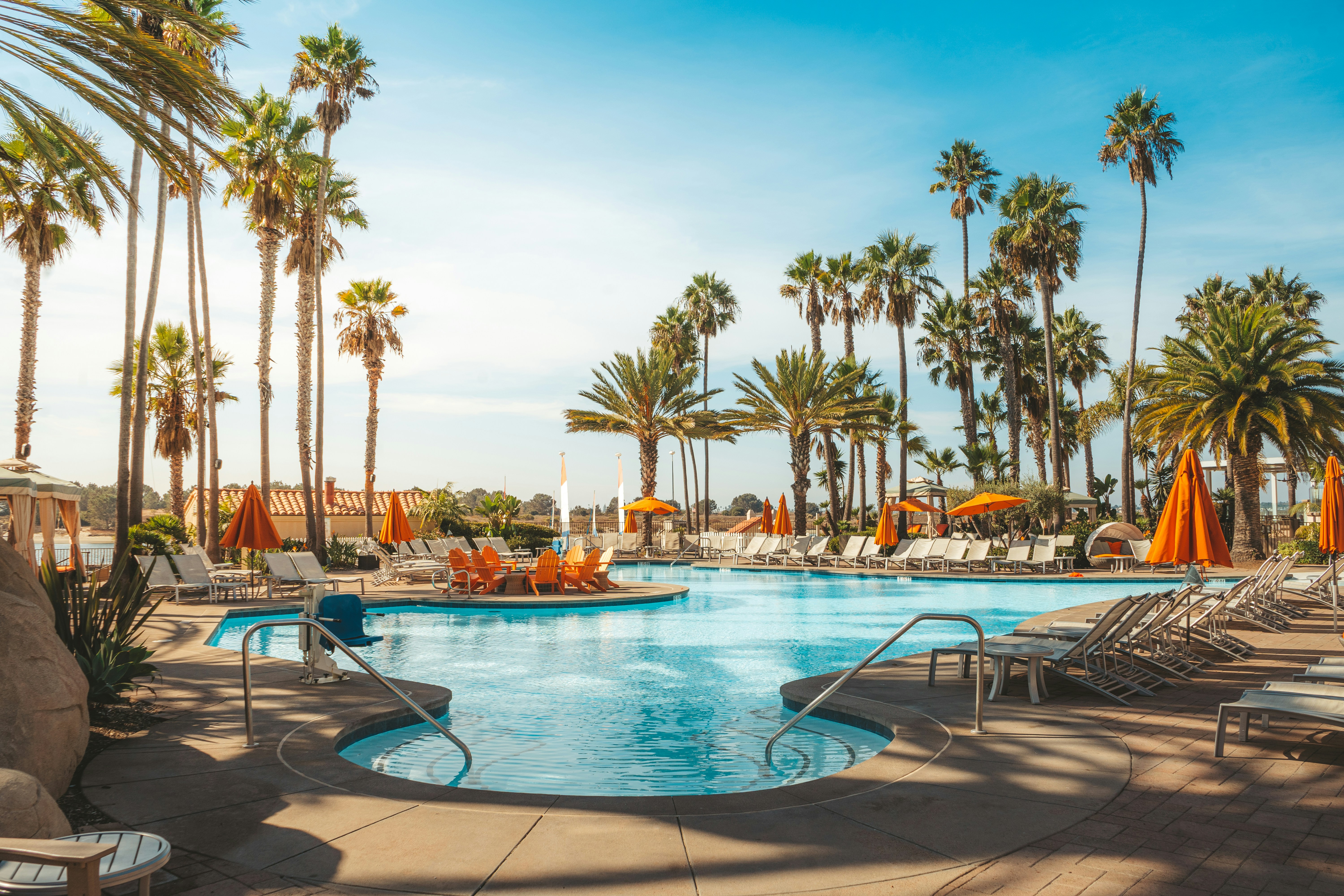 Palm-lined resort pool